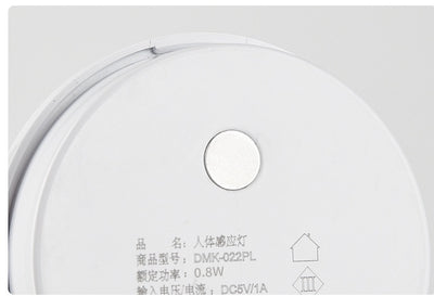 LED Smart Sensor Night Light